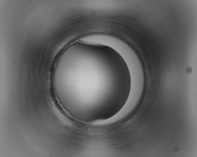 X0000112760725200909171249