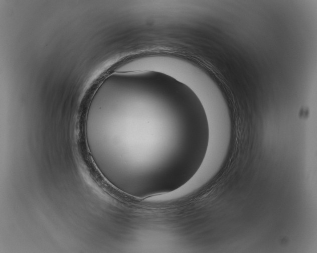X0000112760726200909171249
