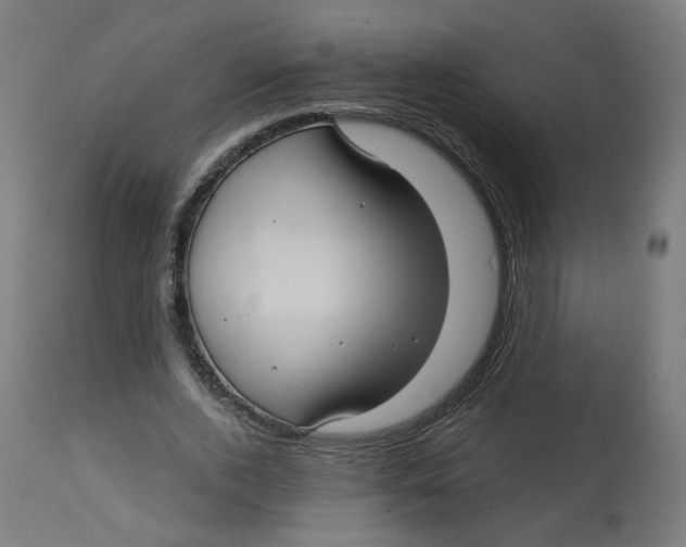 X0000112760728200909171249