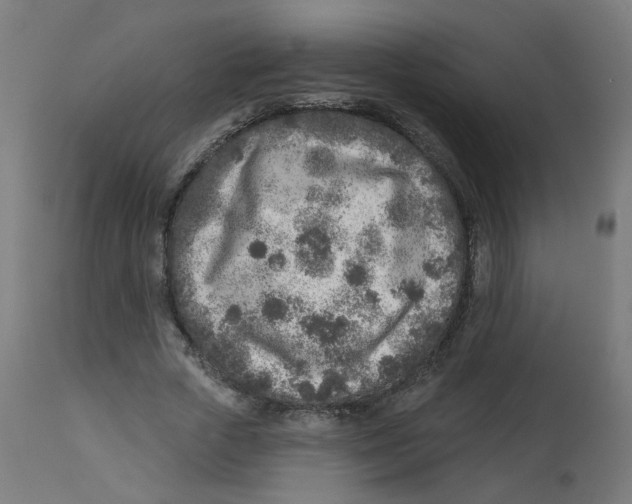 X0000112760729200909171249
