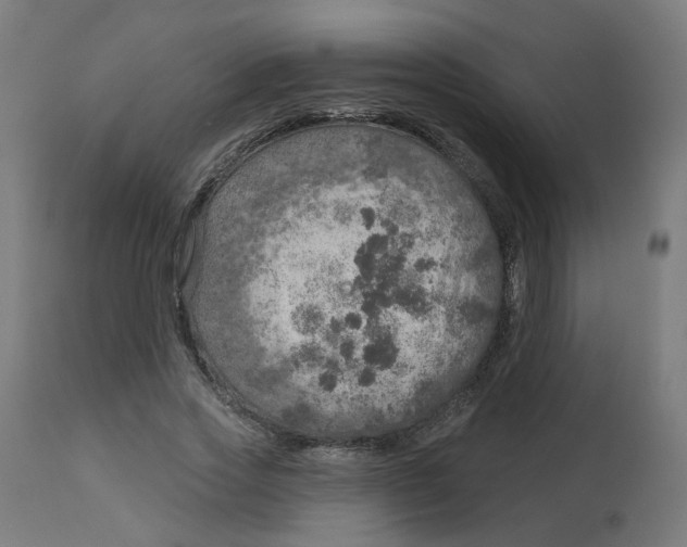 X0000112760733200909171249
