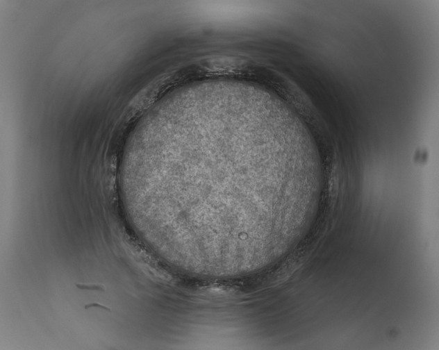 X0000112760737200909171249