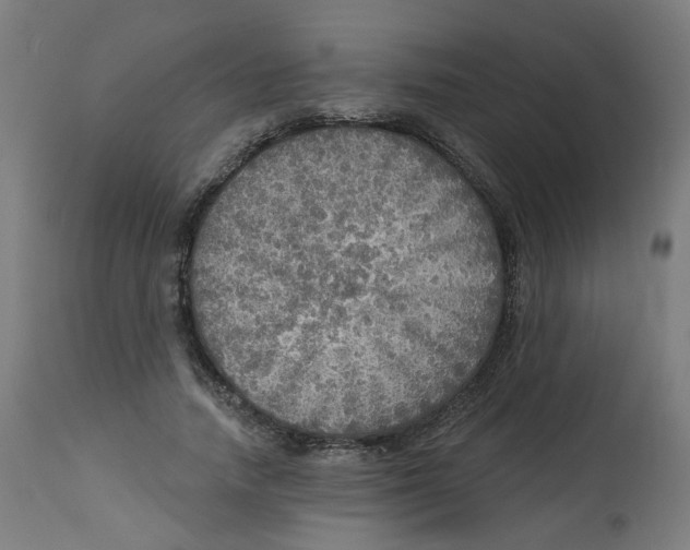 X0000112760738200909171249