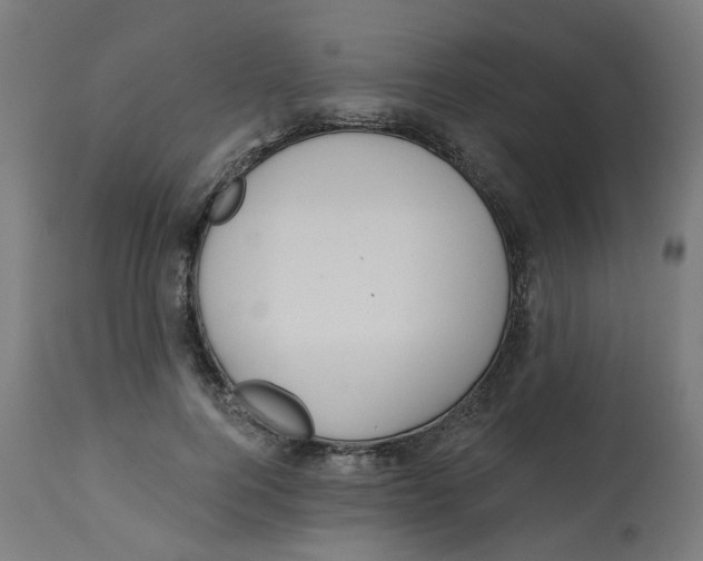 X0000112760744200909171249