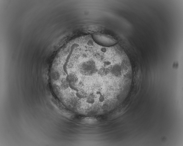 X0000112760749200909171249