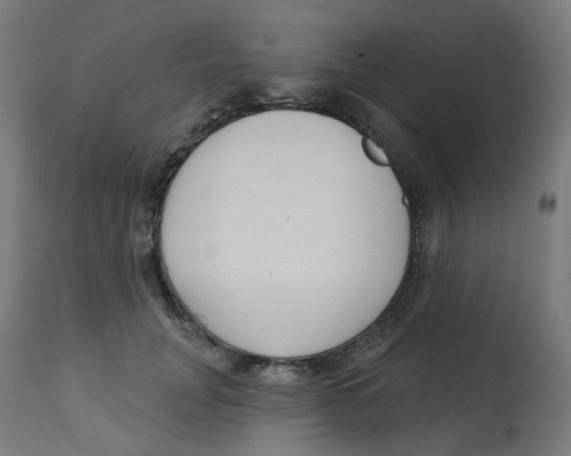 X0000112760751200909171249