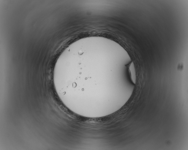 X0000112760756200909171249