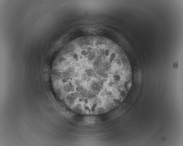 X0000112760757200909171249