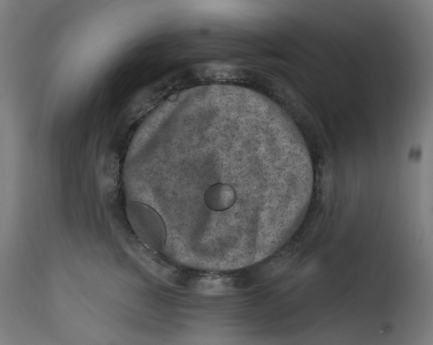 X0000112760760200909171249