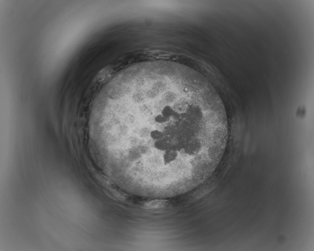 X0000112760761200909171249