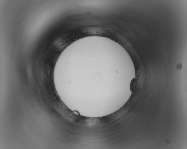 X0000112760762200909171249