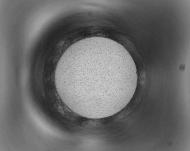 X0000112760763200909171249
