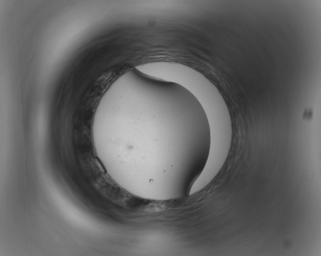 X0000112760764200909171249