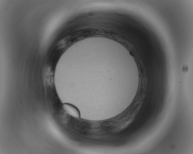 X0000112760766200909171249