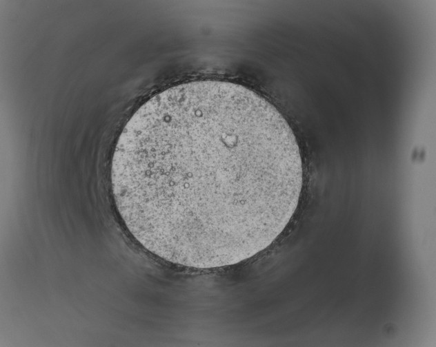 X0000112760769200909171249