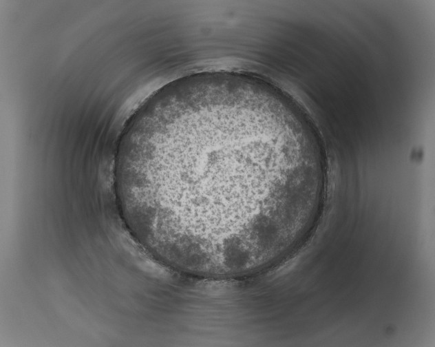 X0000112760778200909171249