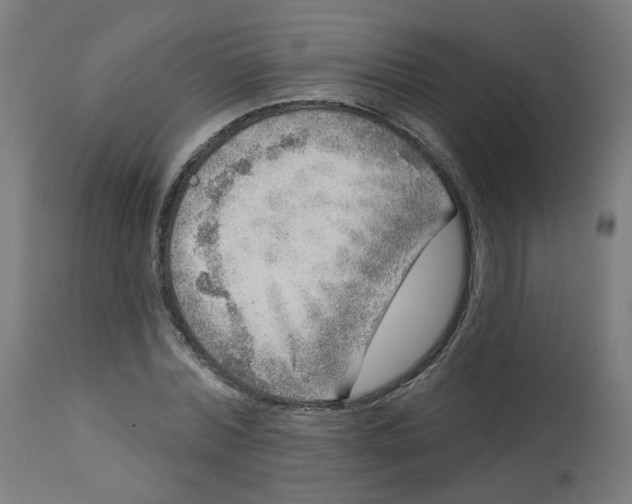 X0000112760780200909171249