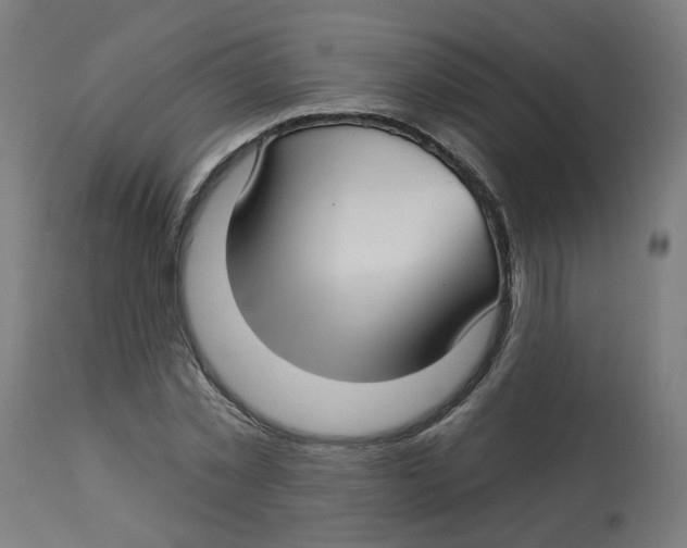 X0000112760781200909171249