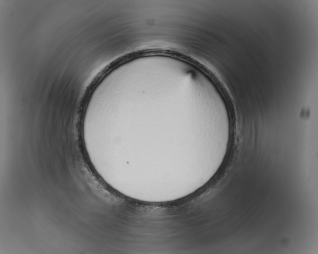 X0000112760783200909171249