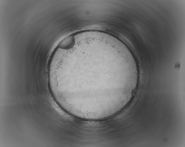 X0000112760800200909171248