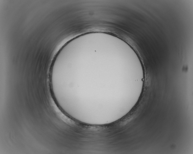 X0000112760803200909171248