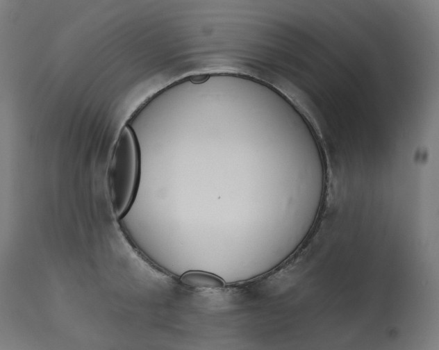 X0000112760805200909171248