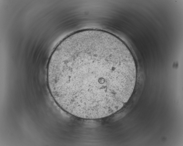 X0000112760807200909171248
