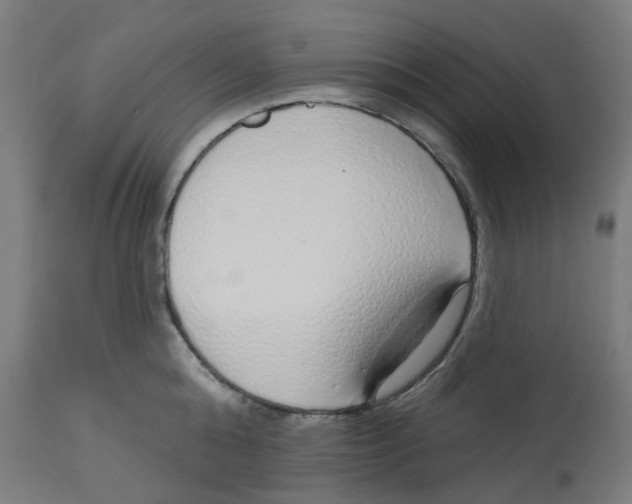 X0000112760808200909171248