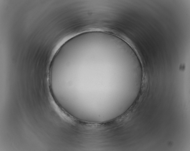 X0000112760811200909171248