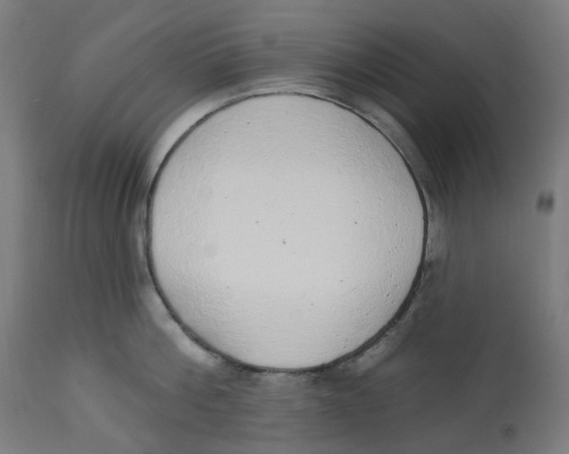 X0000112760812200909171248