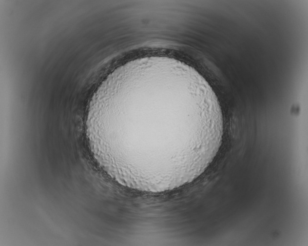 X0000112760821200909171247