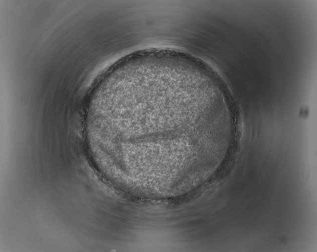 X0000112760823200909171247