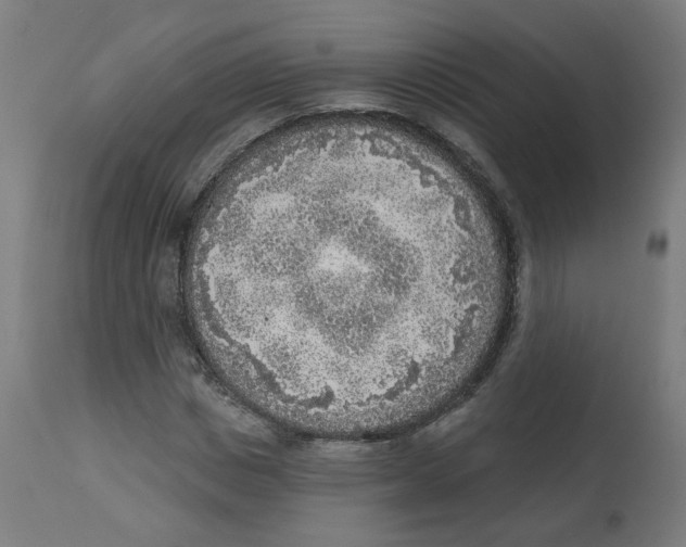 X0000112760825200909171247