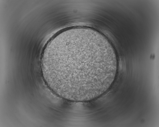 X0000112760828200909171247