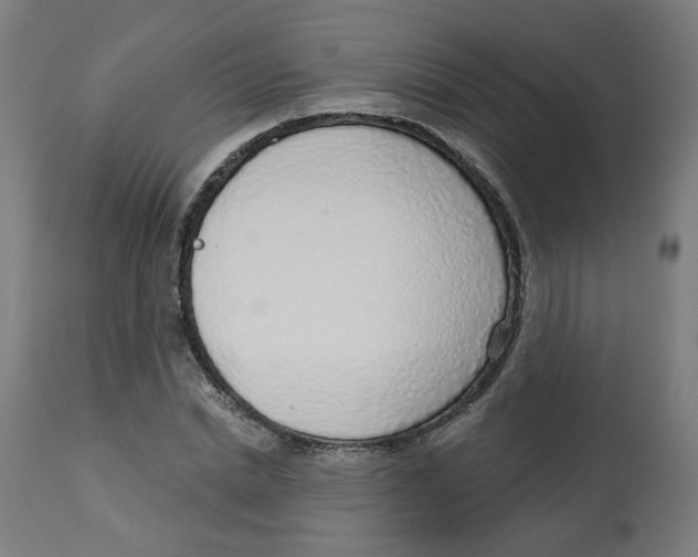 X0000112760830200909171247