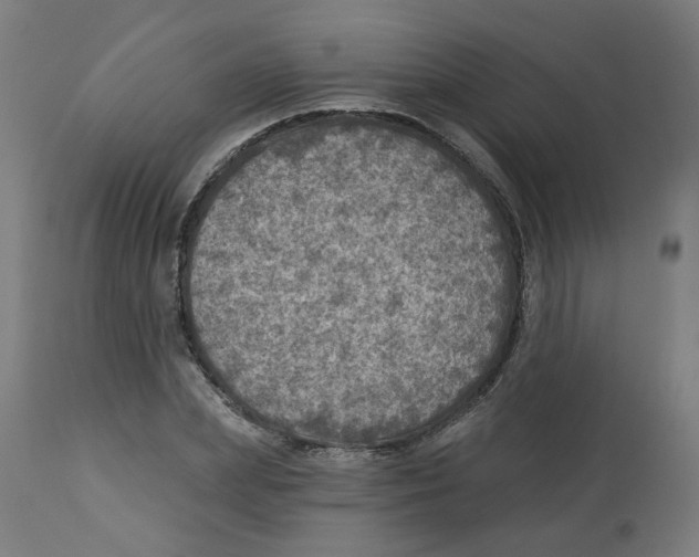 X0000112760831200909171247