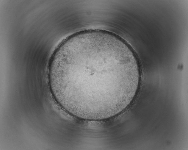 X0000112760832200909171247