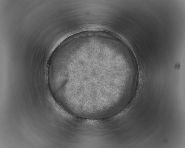 X0000112760835200909171247