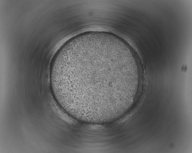 X0000112760837200909171248