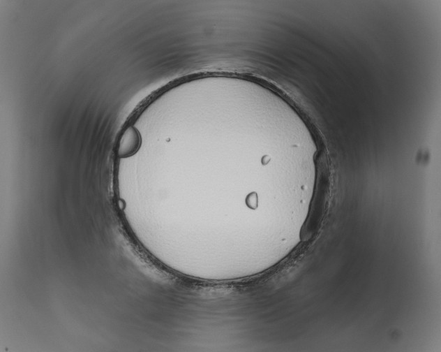 X0000112760838200909171248