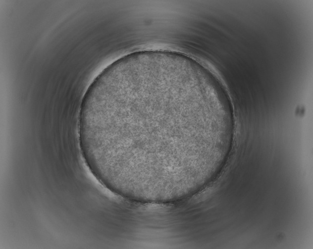 X0000112760847200909171248