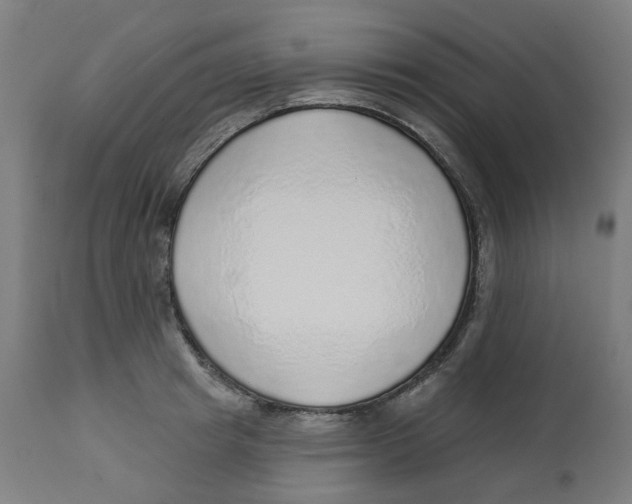 X0000112760849200909171248