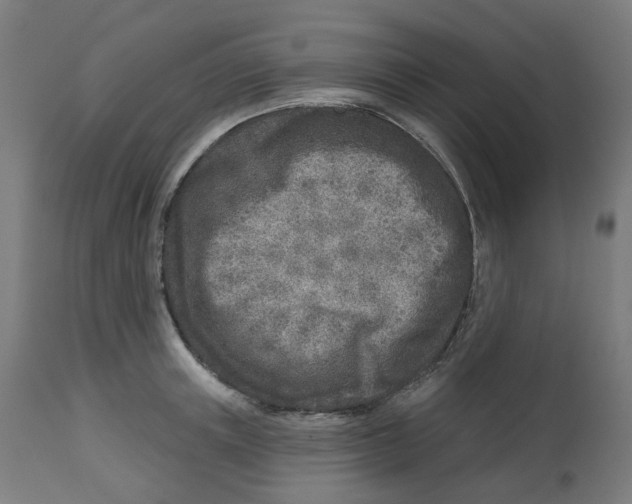 X0000112760851200909171248