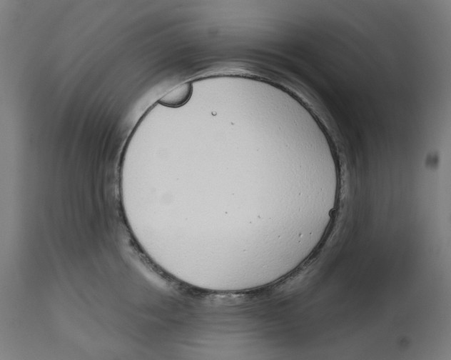X0000112760858200909171248