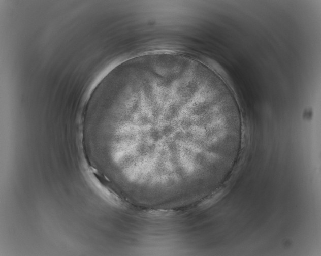 X0000112760859200909171248