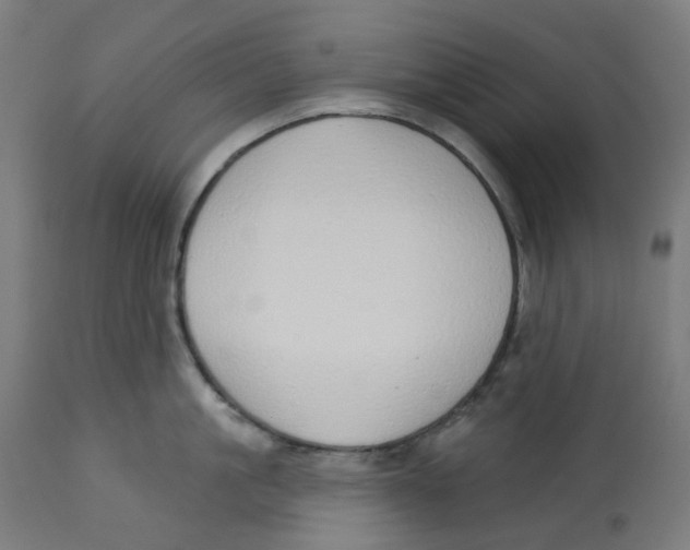 X0000112760861200909171248