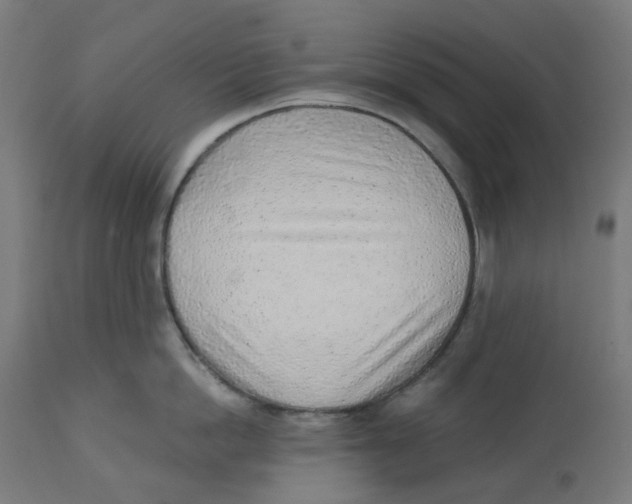 X0000112760862200909171248