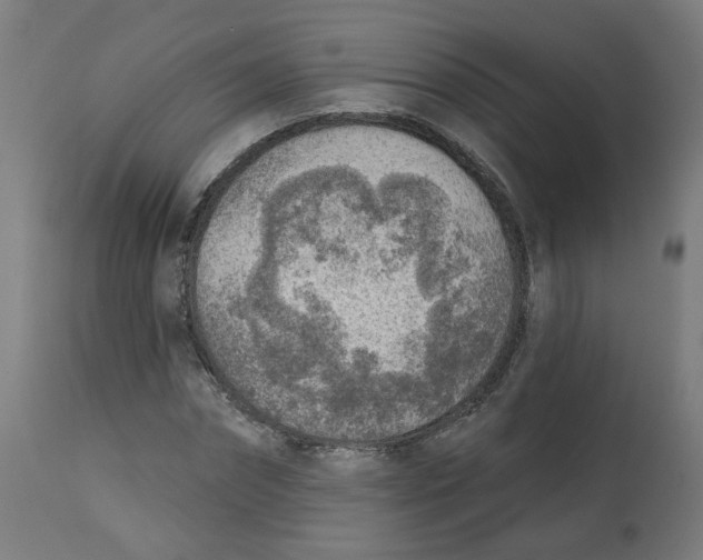 X0000112760874200909171247