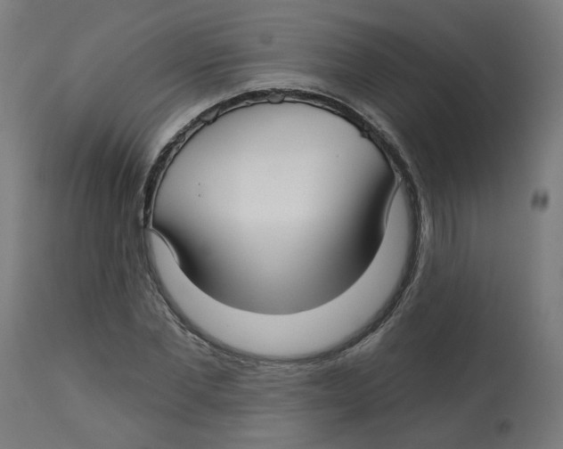 X0000112760877200909171247
