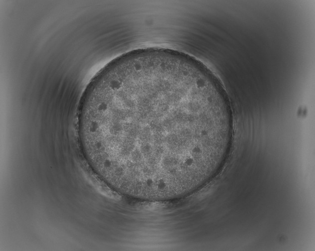 X0000112760879200909171247